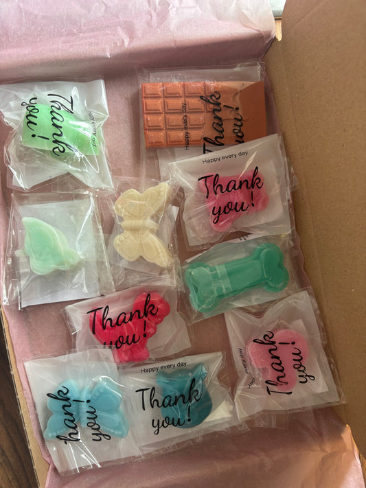 10 sample wax melt box